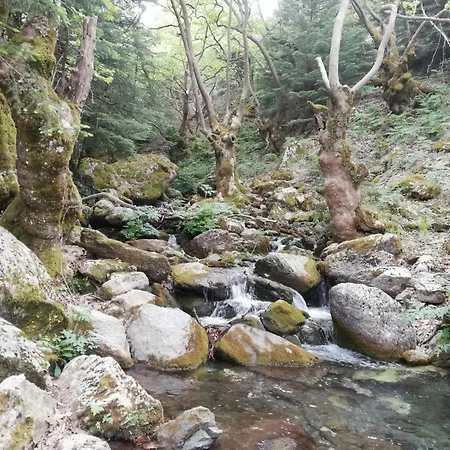 Masou Taygetos Chalet