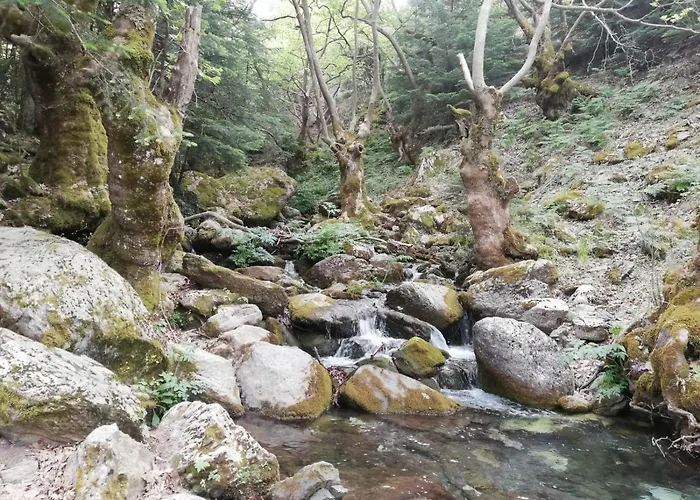 Masou Taygetos Alpstuga